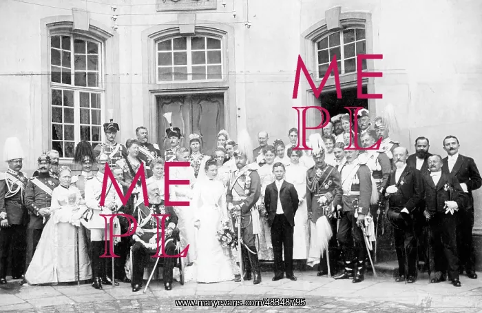 : Wedding of the hereditary count Leopold zur : Wedding of the hereditary count Leopold zur