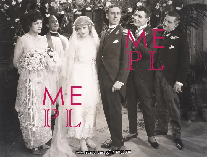 : The wedding party : The wedding party