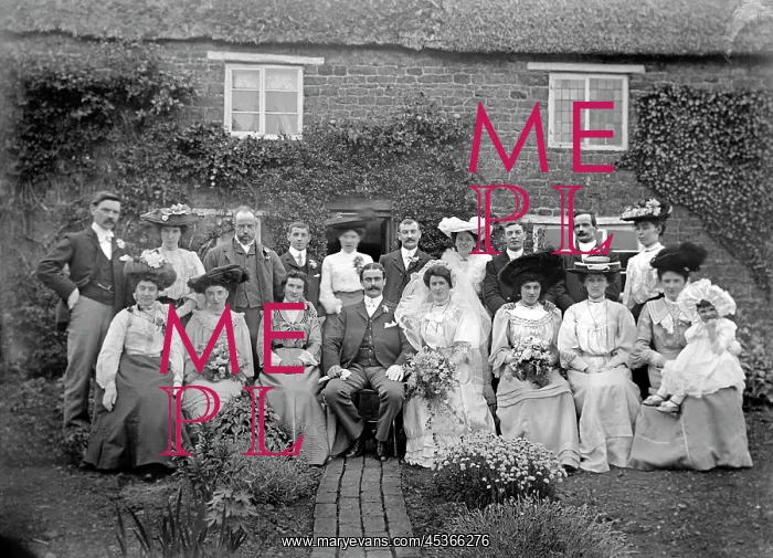 : Wedding Party c.1910 : Wedding Party c.1910