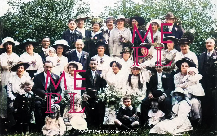  : Wedding Party, circa 1912
