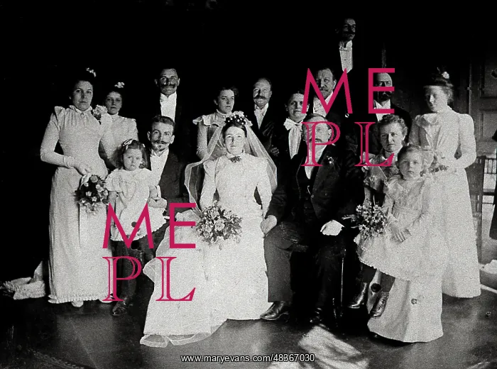 : A wedding party in Mecklenburg, Germany : A wedding party in Mecklenburg, Germany