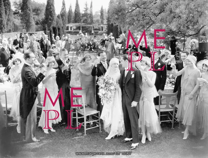 : Wedding party toasting to the bride and groom : Wedding party toasting to the bride and groom