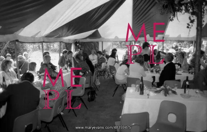 : Wedding reception in Hertfordshire : Wedding reception in Hertfordshire