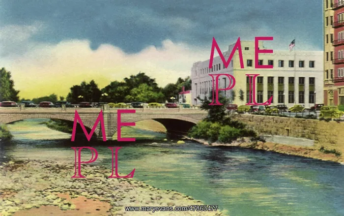  : Wedding Ring Bridge. Reno