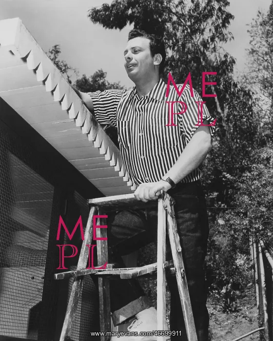 : Weekend chores : Weekend chores