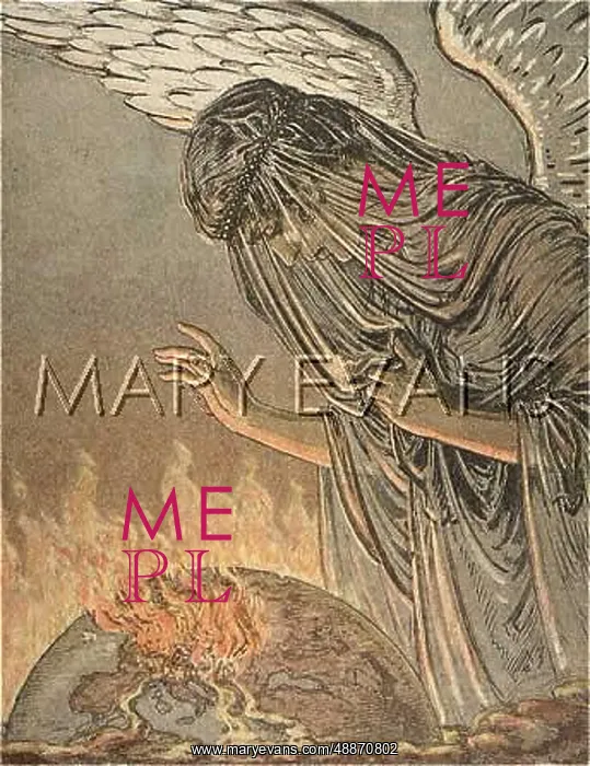: WEEPING ANGEL : WEEPING ANGEL