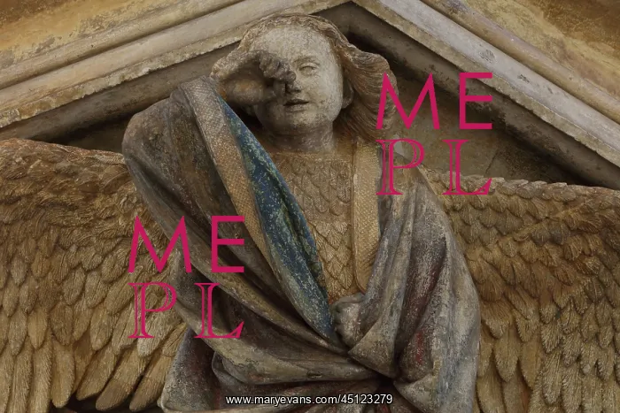 : Weeping angel, Well of Moses, Chartreuse de Champmol : Weeping angel, Well of Moses, Chartreuse de Champmol