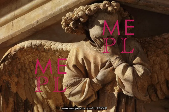 : Weeping angel, Well of Moses, Chartreuse de Champmol : Weeping angel, Well of Moses, Chartreuse de Champmol