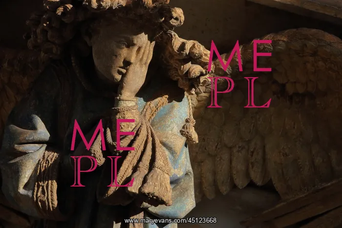 : Weeping angel, Well of Moses, Chartreuse de Champmol : Weeping angel, Well of Moses, Chartreuse de Champmol
