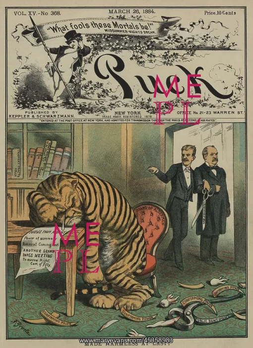 : Weeping Tammany Tiger with the face of NYC Democratic : Weeping Tammany Tiger with the face of NYC Democratic