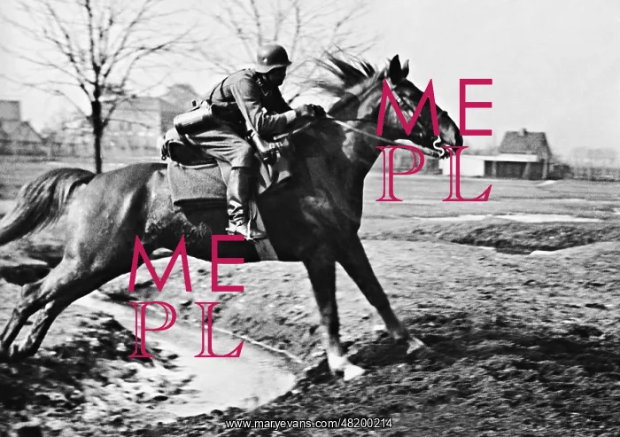  : A Wehrmacht Dispatch Rider