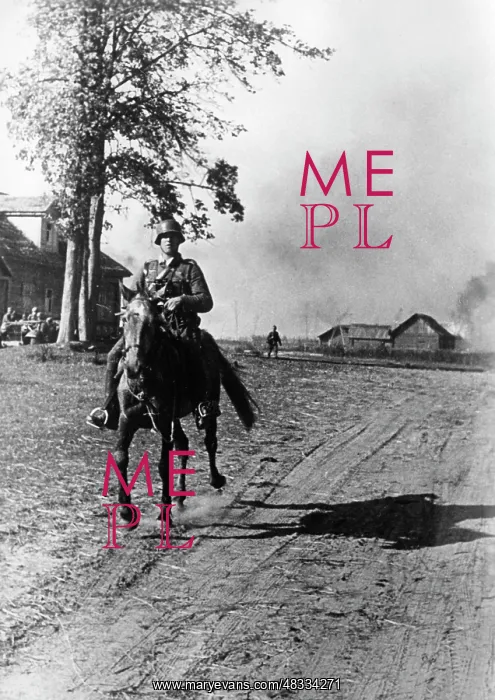 : Wehrmacht dispatch rider on the Eastern Front, 1941 : Wehrmacht dispatch rider on the Eastern Front, 1941