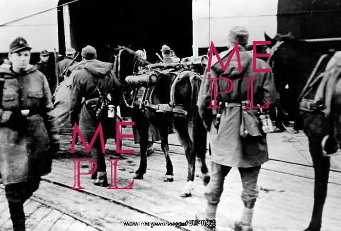: Wehrmacht in Norway, 1944 : Wehrmacht in Norway, 1944