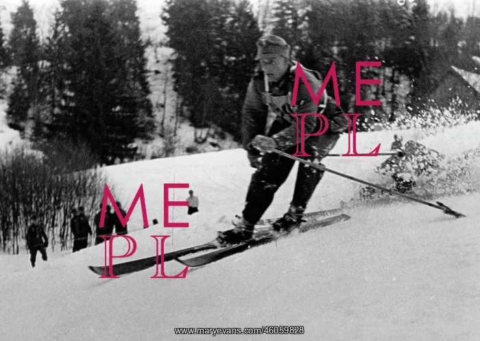 : Wehrmacht skiing championships : Wehrmacht skiing championships