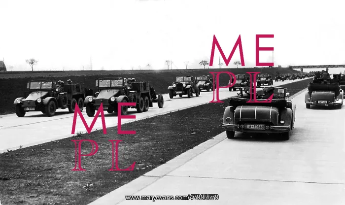 : Wehrmacht troops parading for Adolf Hitler : Wehrmacht troops parading for Adolf Hitler