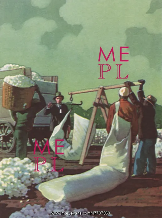  : Weighing Cotton