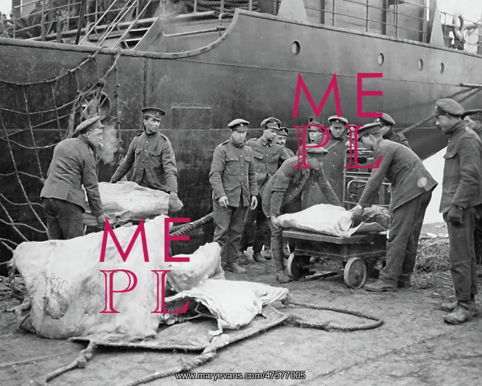 : Weighing meat destined for Western Front, WW1 : Weighing meat destined for Western Front, WW1