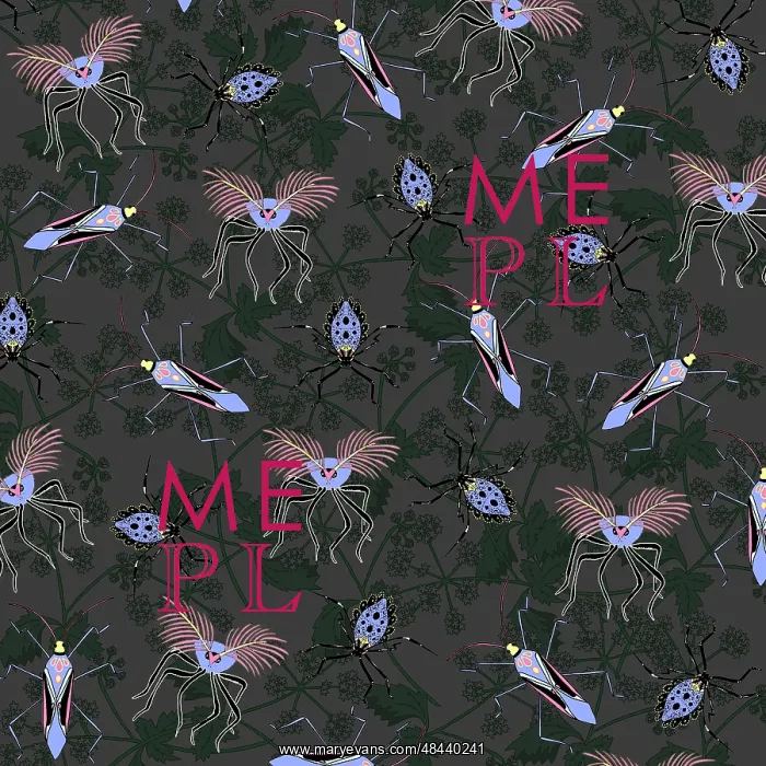  : Weird and wonderful creepy crawlies