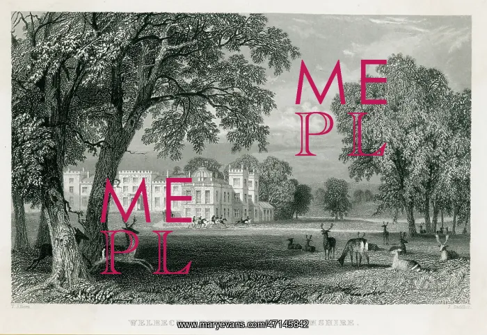  : Welbeck Abbey