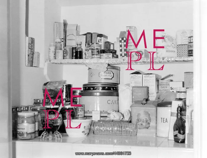 : WELL-STOCKED PANTRY : WELL-STOCKED PANTRY