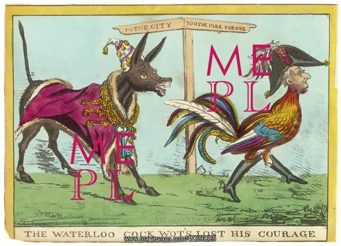 : WELLINGTON CARTOON : WELLINGTON CARTOON