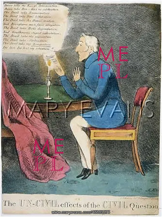 : WELLINGTON OUT OF FAVOUR : WELLINGTON OUT OF FAVOUR