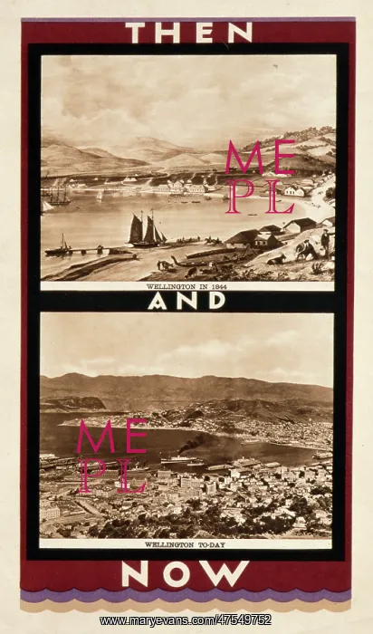 : Wellington poster : Wellington poster