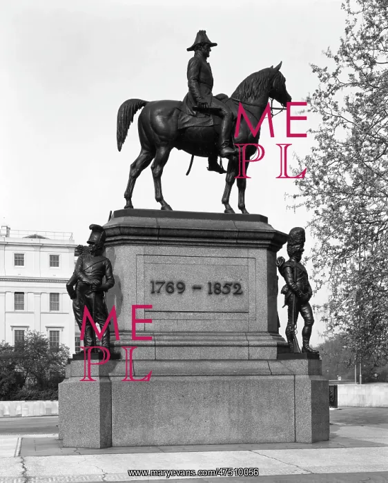 : WELLINGTON STATUE : WELLINGTON STATUE