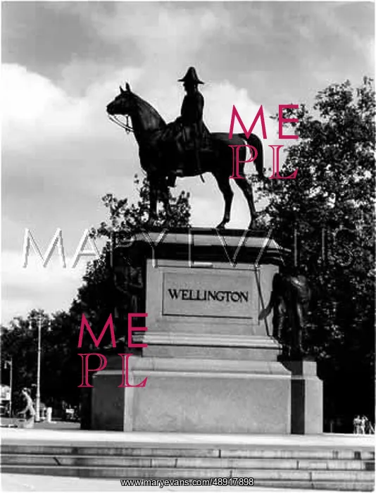 : WELLINGTON STATUE : WELLINGTON STATUE