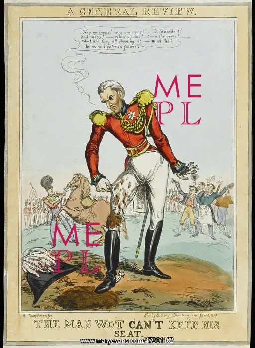 : WELLINGTON UNHORSED 1829 : WELLINGTON UNHORSED 1829