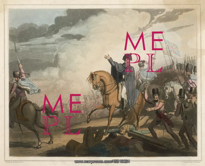 : WELLINGTON AT WATERLOO : WELLINGTON AT WATERLOO