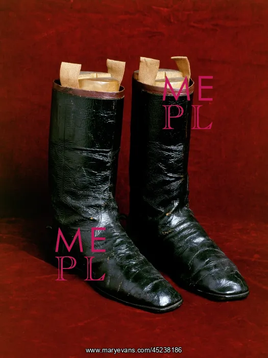: Wellington's boots : Wellington's boots