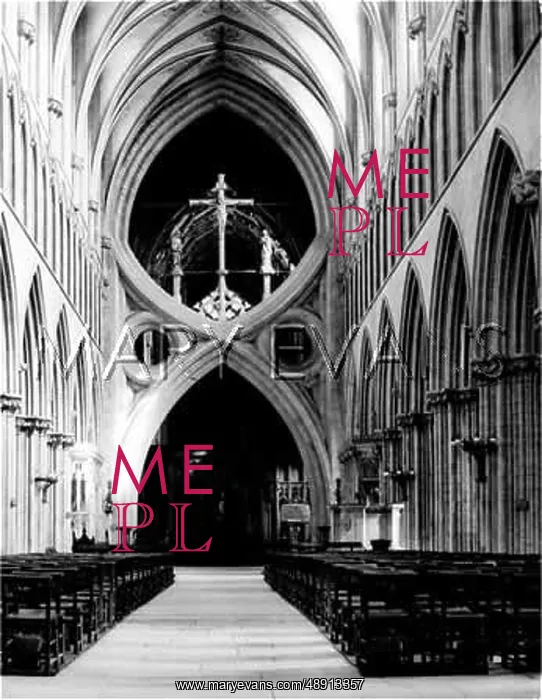 : WELLS CATHEDRAL NAVE : WELLS CATHEDRAL NAVE