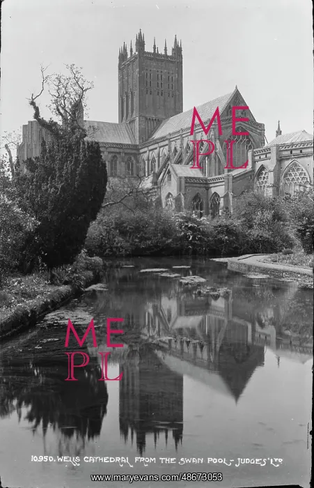 : Wells Cathedral from the Swan Pool : Wells Cathedral from the Swan Pool