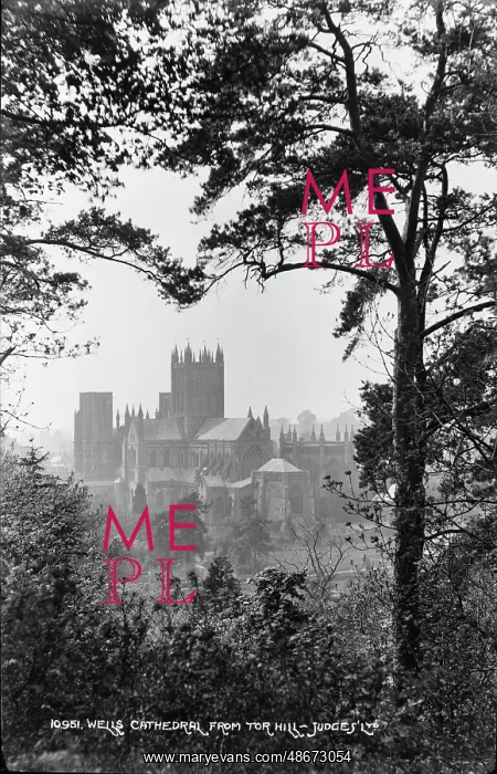 : Wells Cathedral from Tor Hill : Wells Cathedral from Tor Hill