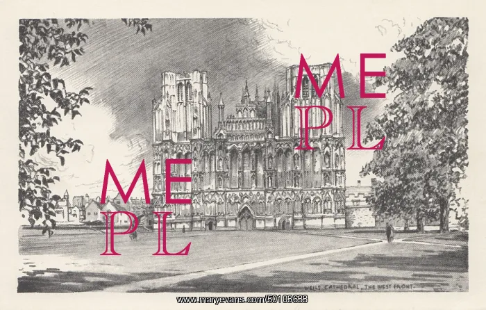 : Wells Cathedral, West Front. Line engraving : Wells Cathedral, West Front. Line engraving
