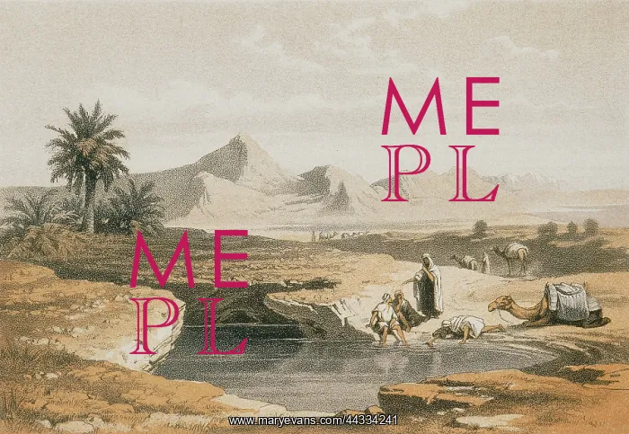 : The wells of Moses. Etching : The wells of Moses. Etching