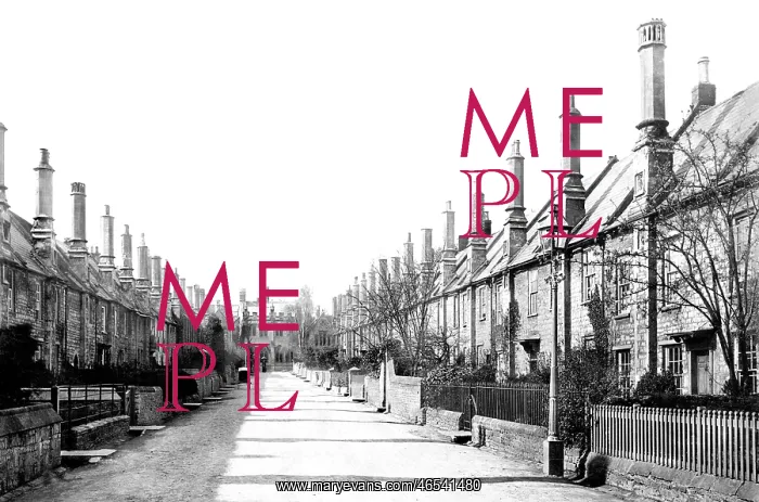  : Wells, Vicars Close 1890