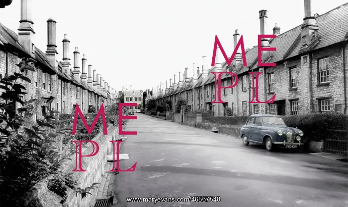  : Wells, Vicars Close c1965