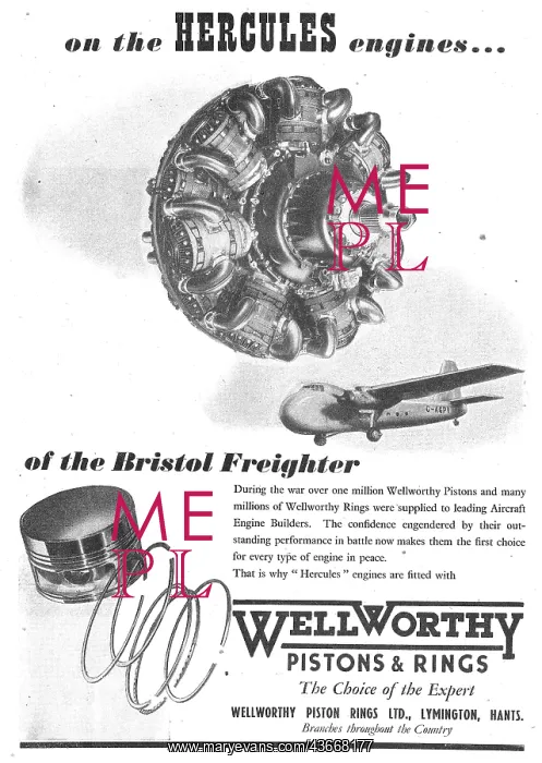 : Wellworthy Pistons & Piston Rings : Wellworthy Pistons & Piston Rings