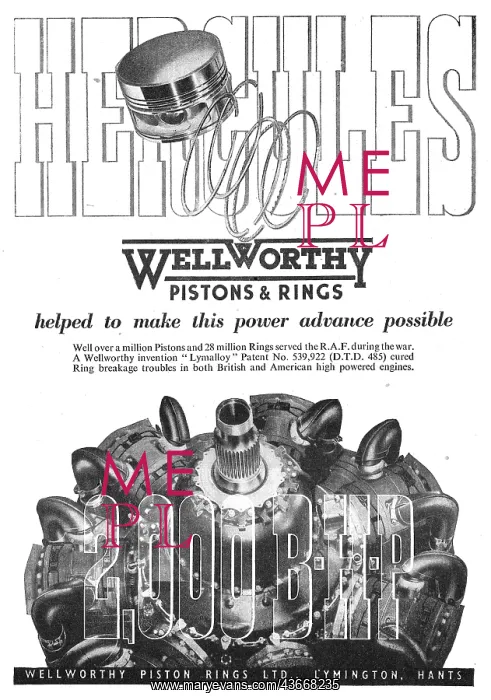 : Wellworthy Pistons & Piston Rings : Wellworthy Pistons & Piston Rings