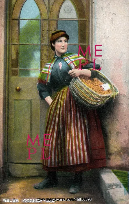: Welsh Cockle Girl : Welsh Cockle Girl