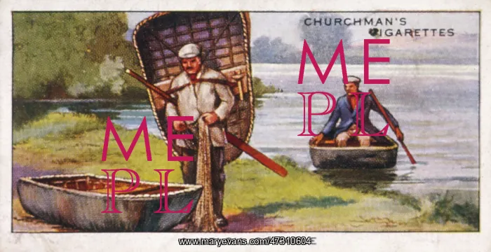 : Welsh Coracle : Welsh Coracle