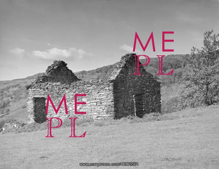 : Welsh cottage ruins : Welsh cottage ruins