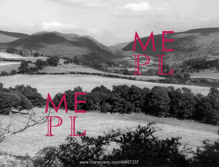 : Welsh countryside near Hafod : Welsh countryside near Hafod