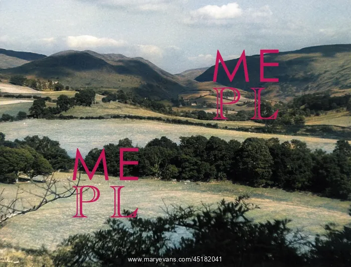 : Welsh countryside near Hafod : Welsh countryside near Hafod
