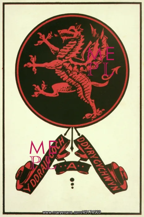 : WELSH DRAGON DEVICE : WELSH DRAGON DEVICE