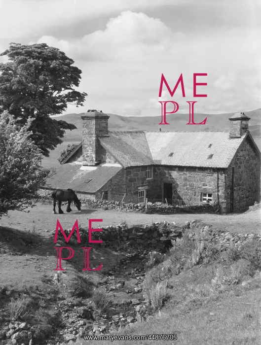 : WELSH FARMHOUSE : WELSH FARMHOUSE