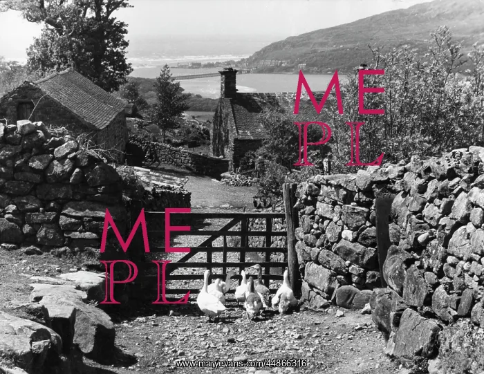 : WELSH FARMSTEAD : WELSH FARMSTEAD