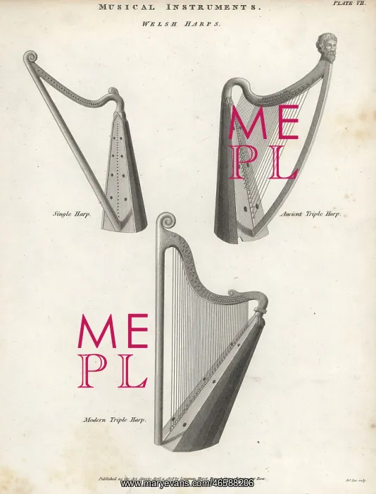 : Welsh harps : Welsh harps